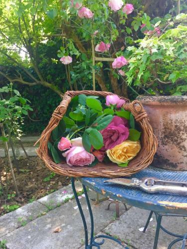 Sottoalfico B&B