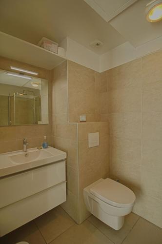 Apartamento Studio Albert 1er