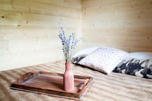 La Gliere ( Camping )