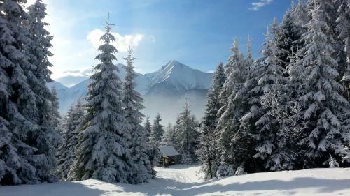 Hotel Pension Vasko