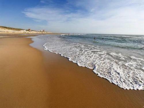 Apartment Biscarrosse Plage - Front De Mer - 4 Personnes