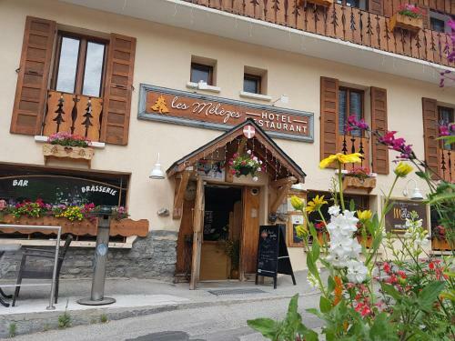 Hotel H�tel-chalet Les M�l�zes