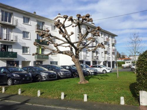 Apartment Stade II