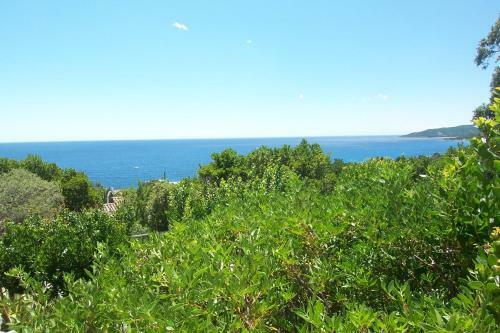 Apartamento Les Marcassins 1