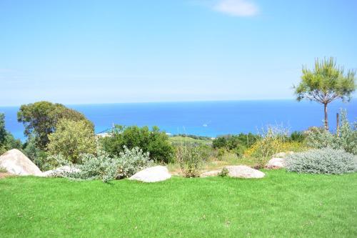 Villa Colibri