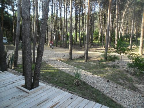 Pinocha Point Bungalows
