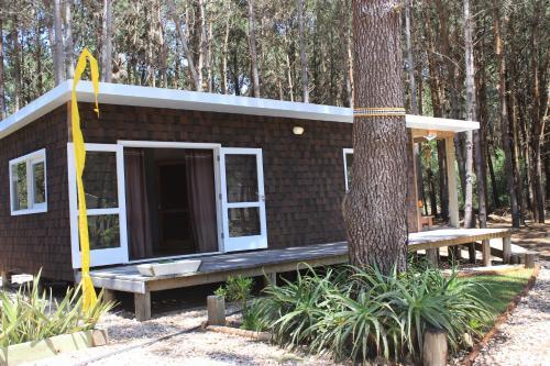Pinocha Point Bungalows