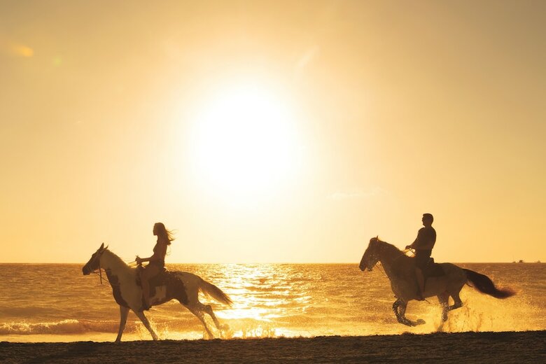 Hotel Secrets Royal Beach Punta Cana