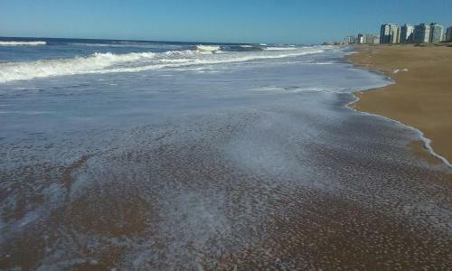 Apartamento Spiaggia Brava Punta