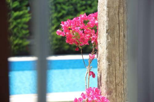 Hotel Leo Ala�at?