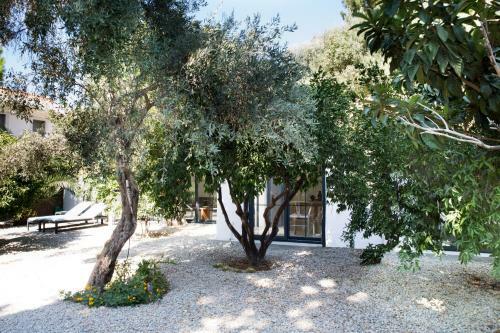 Important Group Villa Bd461 Bitez 5 Bedroomed Villa