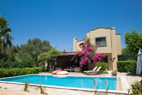 Important Group | Villa Costa