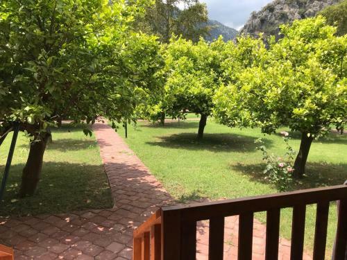 Bed & Breakfast Asya Bungalow