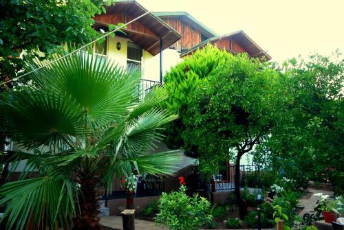 Hostal Cemils Guest House