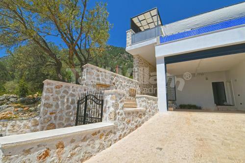 Villa Lion