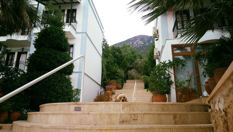 Apartamento The Mediteran Hotel