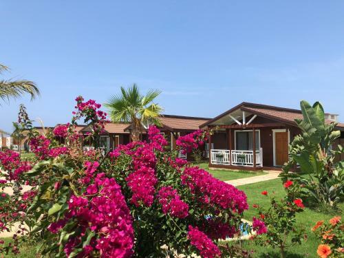 Bed & Breakfast Sedir Park - Beach Bungalow