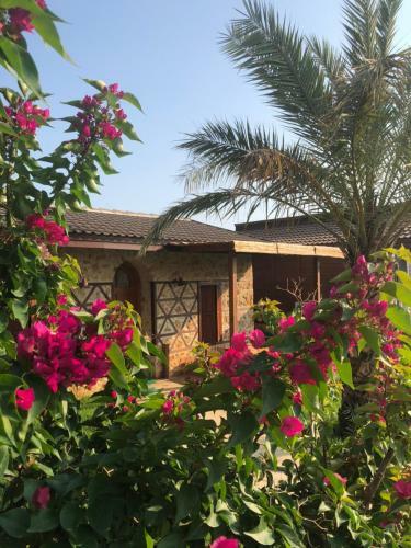 Bed & Breakfast Sedir Park - Beach Bungalow