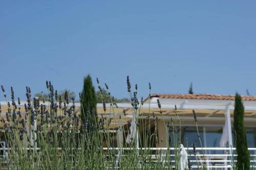 Apartamento Villa Azure, Lavanta, Kalkan