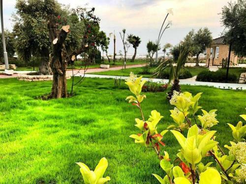 Agva Apart Otel