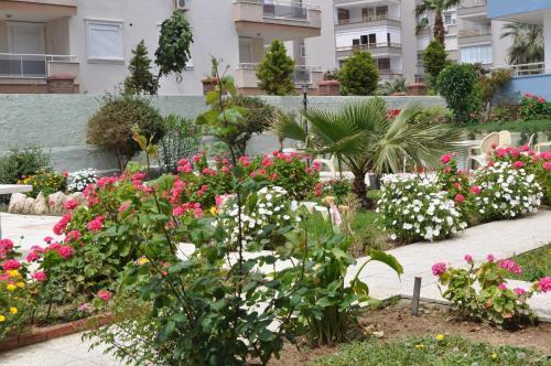Muzkent Apartment
