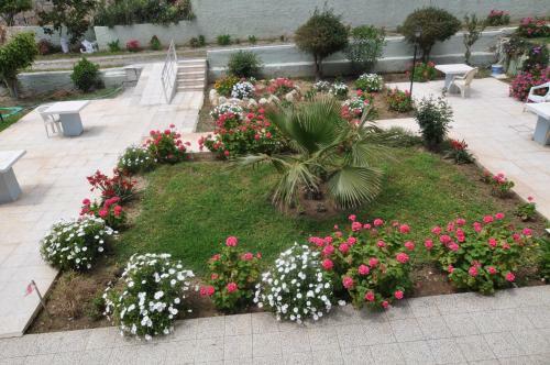 Muzkent Apartment