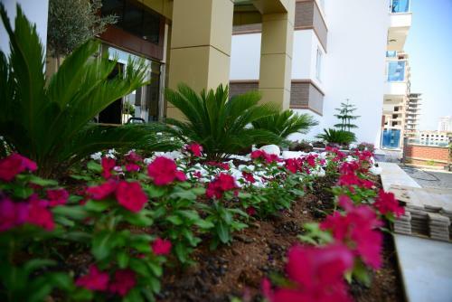 Apartamento Novita ?partments