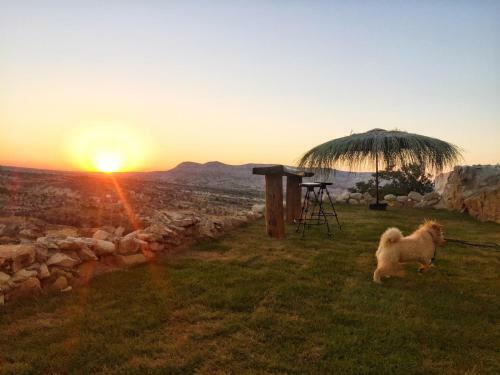 Urgup Evi Cave Hotel