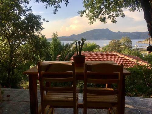 Hotel Palmira Bungalow & Camping