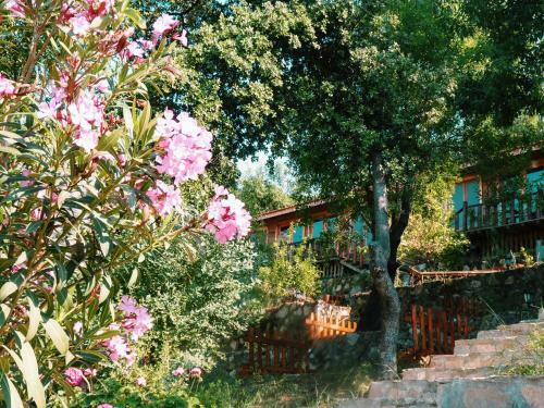 Hotel Palmira Bungalow & Camping