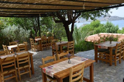 Hotel Palmira Bungalow & Camping