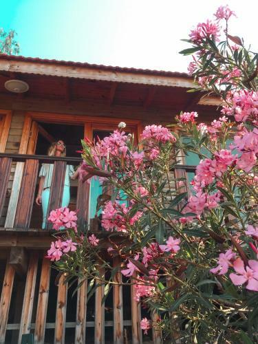 Hotel Palmira Bungalow & Camping