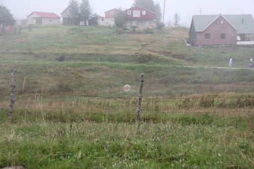 Apartamento Taleena Trabzon