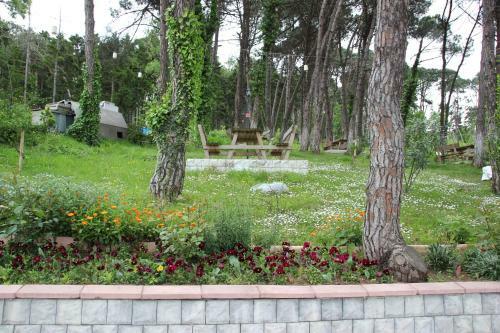 Apartamento Taleena Trabzon