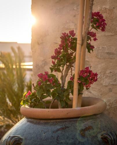 Hotel Allium Villas Resort