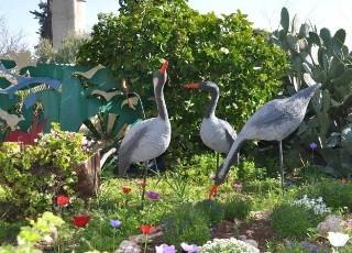 Hotel Kibbutz Country Lodging Amaid
