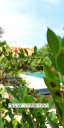 Hotel Grandfather Khaolak Resort