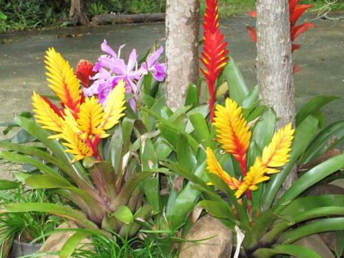 Hostal Happiness Resort Sukhothai