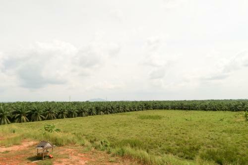 Baan Urt Suratthani Airport Hotel