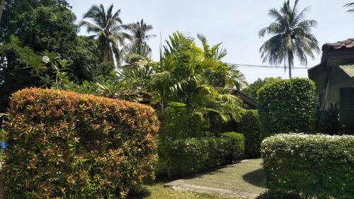 Sean Sabai Home E Ristobar