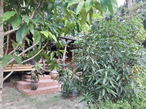Hotel Koh Kood Little Hut