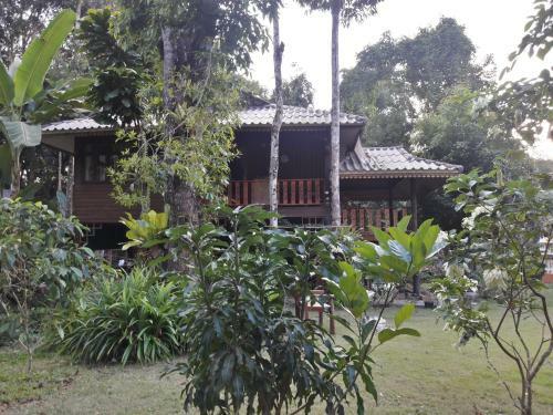 Hotel Koh Kood Little Hut