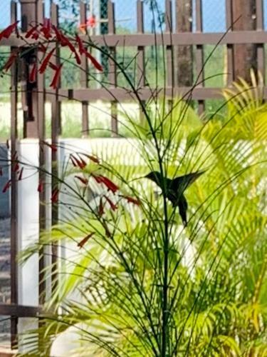 Apartamento Villa Del Carmen Boqueron