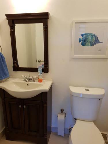 Apartamento El Velero En Boqueron 201