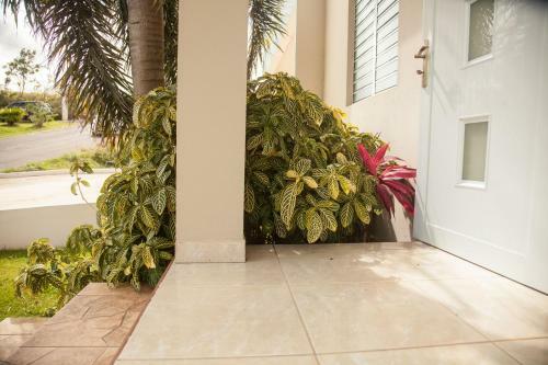 Casa Vacacional En Arenales Isabela