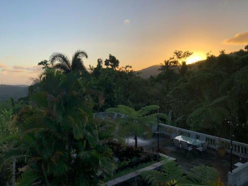 Bed & Breakfast El Yunque Rainforest Inn