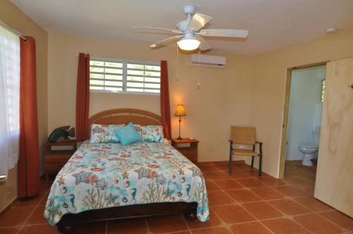 Hostal Isla Hermosa Guesthouse