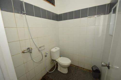 Hostal D&d Backpackers Guesthouse