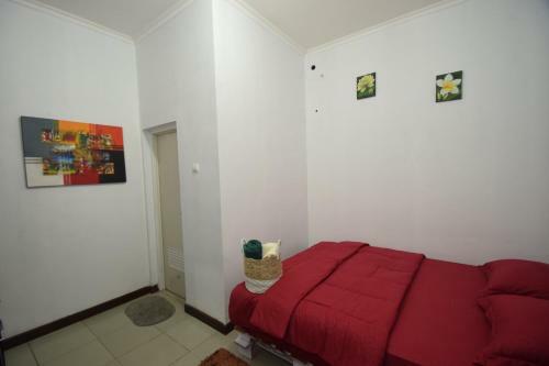 Hostal D&d Backpackers Guesthouse