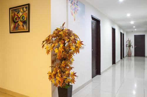 Hostal Reddoorz Near Gedung Sate 2